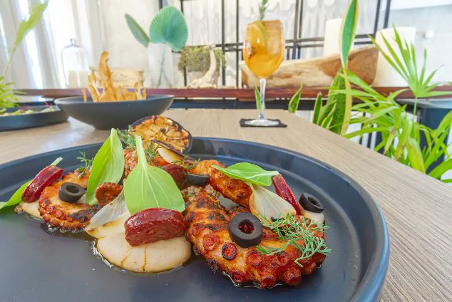 pulpo a las brasas en tulum