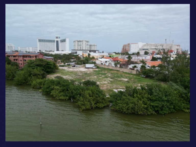 Captura de Pantalla 2024 09 04 a las 17.26.09 768x579