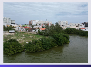 Captura de Pantalla 2024 09 04 a las 17.26.18 300x221