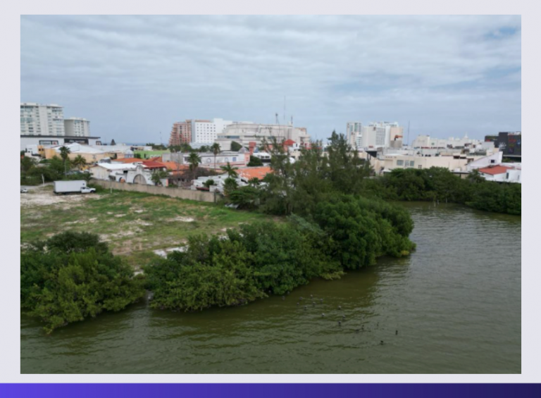 Captura de Pantalla 2024 09 04 a las 17.26.18 768x565