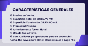 Captura de Pantalla 2024 09 04 a las 17.37.34 300x160