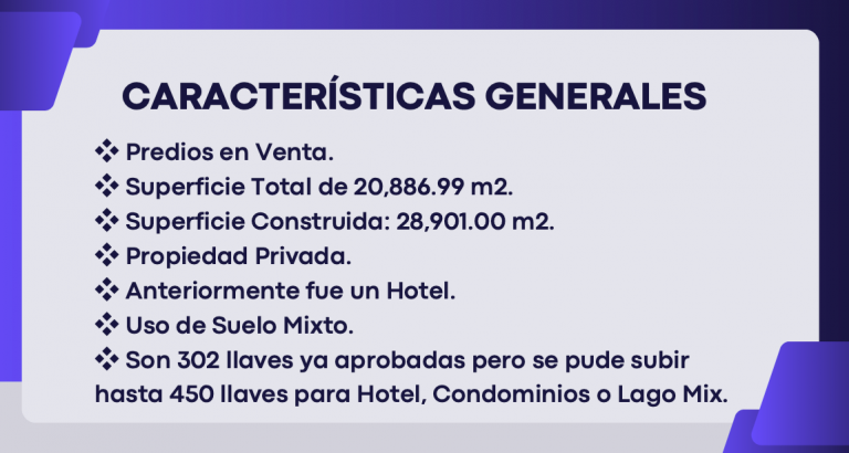 Captura de Pantalla 2024 09 04 a las 17.37.34 768x410