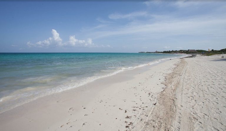 BD101 768x445