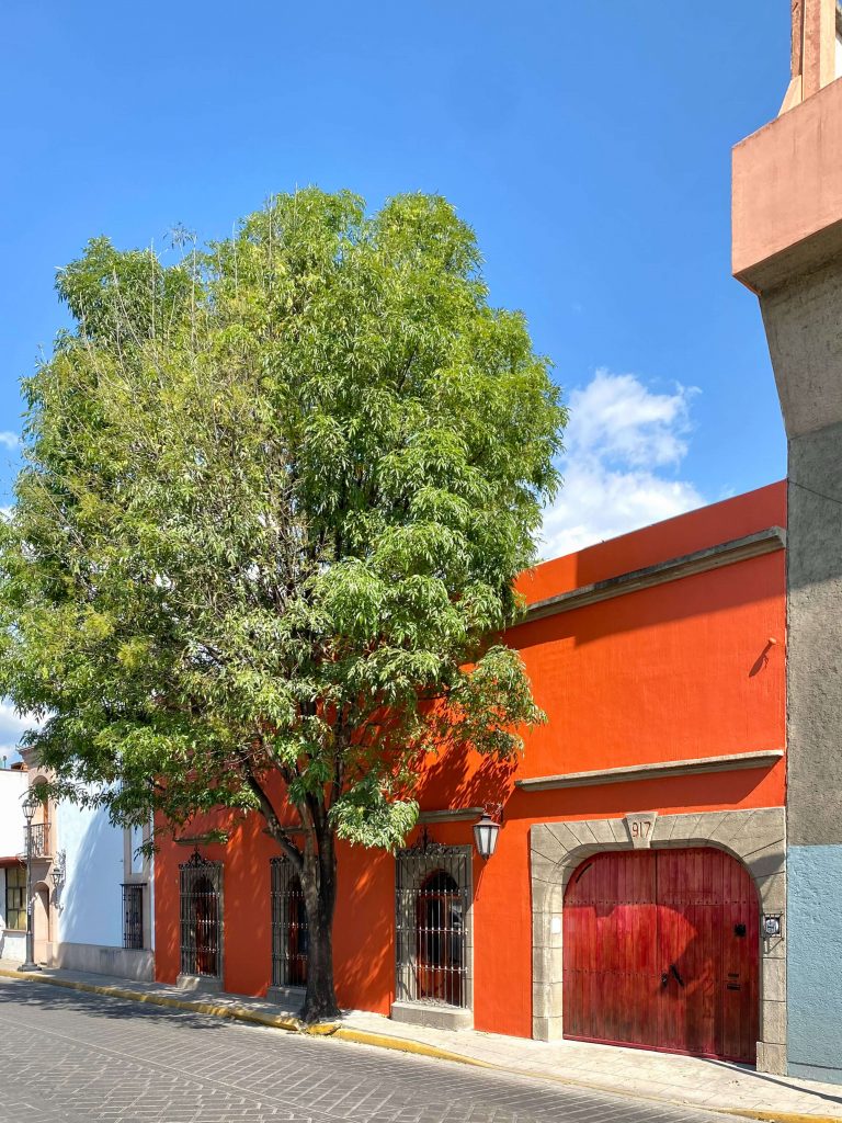 CA F01 Fachada 768x1024