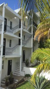 34702375 1961234420588233 8477546950109954048 n 169x300