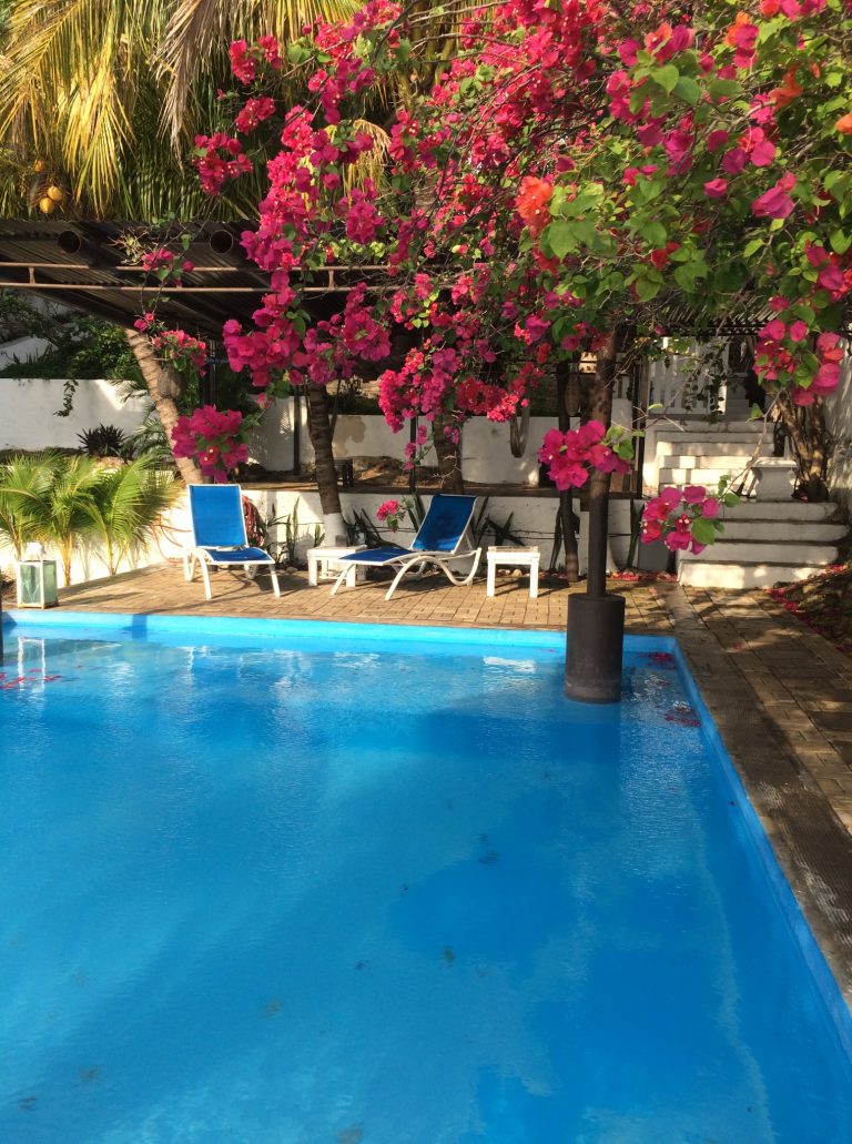 75029114 2809383742439959 2581331952564961280 n 768x1031