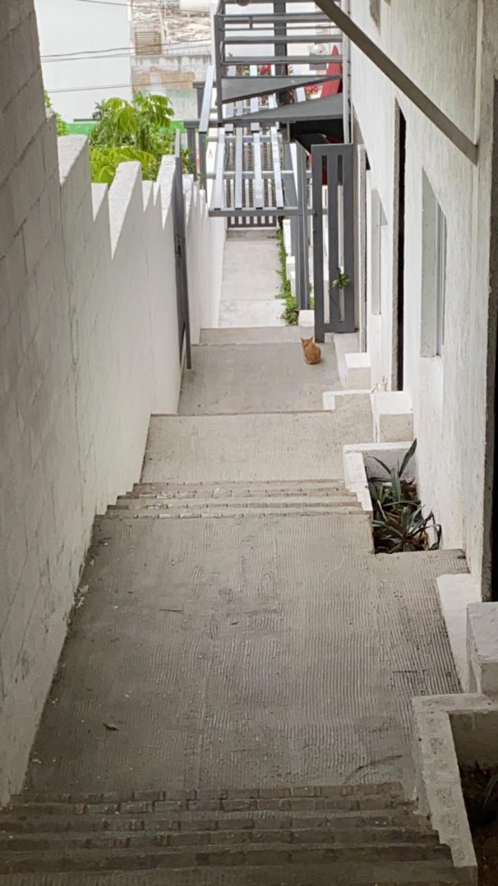 81831053 2980806615297670 9050177545068085248 n