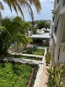 WhatsApp Image 2025 11 03 at 20.37.20 3 225x300